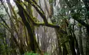 La Gomera: Ein Naturparadies zum Verlieben