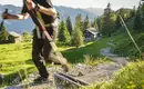 Alpenüberquerung vom Tegernsee nach Kitzbühel