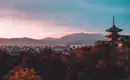 Japan: Kirschblüte oder Herbstlaub zaubern Farbenwunder