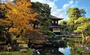 Japan: Kirschblüte oder Herbstlaub zaubern Farbenwunder