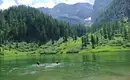 Wer hat Lust auf ein (sehr!) erfrischendes Bad im Seeleinsee Zwei Personen schwimmen im klaren Wasser des Seeleinsees in den Berchtesgadener Alpen, umgeben von üppiger grüner Landschaft und hohen Bergen.