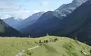 Tour du Mont Blanc
