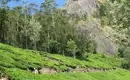 Indiens Süden: Keralas Naturschönheiten entdecken