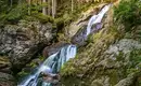 Die Highlights im Nationalpark Bayerischer Wald erwandern