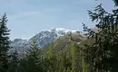 König Ortler