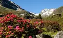 Hüttenwanderung in den Tuxer Alpen
