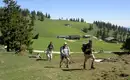 Almwanderwoche in Tirol