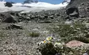 Gipfelwanderungen und leichte Hochtouren über dem Ötztal