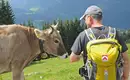 Genusswandern im Bregenzerwald
