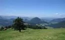 Genusswandern im Bregenzerwald