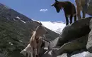 Traumhafte Wanderungen im Ötztal