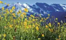 Traumhafte Wanderungen im Ötztal