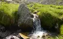 Bergbach entlang unseres Wegesrands Ein kleiner Wasserfall fließt über Steine in einer grünen Almlandschaft in den Stubaier Alpen.