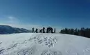 Schneeschuhwanderungen im Allgäu