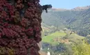 Dolomiten Höhenweg Nr. 2