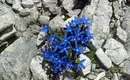 Dolomiten Höhenweg Nr. 2