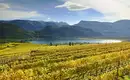 Blick auf Weinberge und Dolomiten Weinberge in Südtirol mit Ausblick auf einen See und die Dolomiten im Hintergrund.