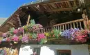 Blumengeschmücktes Berghaus in den Alpen - so schön! Altes Berghaus mit bunten Blumen an Balkonen in alpiner Umgebung.