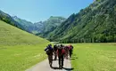 Am Start unserer Tour, weiter unten im Tal Gruppe von Wanderern auf einem Pfad umgeben von grünen Bergen und blauem Himmel.