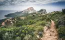 Und immer wieder verbinden die Wanderwege den Blick auf die Berge und die Küste Wanderpfad auf Korsika mit Blick auf die Küstenlandschaft und Berge.