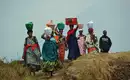 Uganda: Auf den Spuren der majestätischen Berggorillas