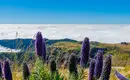 Madeira gemütlich erwandern – Bild 16