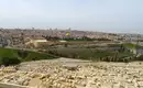 Israel für Einsteiger - Eine Reise durch Geschichte, Natur und Kultur