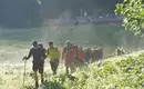 Gruppe von Wanderern auf einem Pfad in grüner alpiner Landschaft