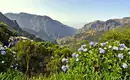 Trekkingabenteuer durch Madeiras majestätisches Zentralmassiv