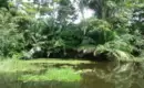 Höhepunkte Costa Ricas in 11 Tagen erleben