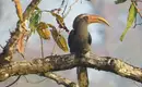 Indiens Süden: Keralas Naturschönheiten entdecken