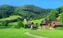 Vom Schwarzwald zum Bodensee - individuelle Trekkingwoche