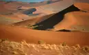 Rote Dünen der Namib Wüste Weite rote Sanddünen in der Namib Wüste in Namibia mit vereinzelter Vegetation.