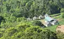 Indiens Süden: Keralas Naturschönheiten entdecken