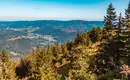 Die Highlights im Nationalpark Bayerischer Wald erwandern