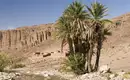 Oase im Saghro-Gebirge Palmen in einer kargen Wüstenlandschaft mit Bergen im Hintergrund.
