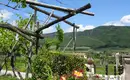 Individuelle Wanderung entlang des Wein- und Almenwegs in Südtirol