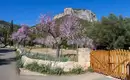 Silvester auf Mallorca