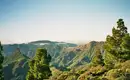 Die Highlights Gran Canarias erwandern – Bild 6