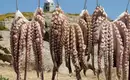 Trocknende Tintenfische auf Zakynthos - muss man mögen;-) Traditionell getrocknete Tintenfische hängen in der Sonne auf Zakynthos.