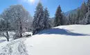 Wochenend-Schneeschuhtouren Allgäu