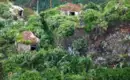 Grüne Vegetation und alte Gebäude auf La Palma, Kanaren.