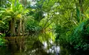 Ecuador und Galapagos - Highlights erleben