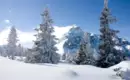 Silvester in Tirols Bergwelt - Naturresort Waldrast