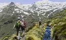 Andalusien entdecken: Eine Reise durch Natur, Geschichte und Kultur