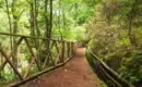 La Palmas Highlights erwandern