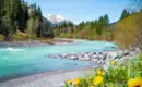 Der Lech - einen der letzten Wildflüsse gemütlich erwandern – Bild 1