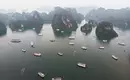Boote in der Halong-Bucht Luftaufnahme vieler Boote in der Halong-Bucht, umgeben von markanten Karstfelsen und trübem Himmel.