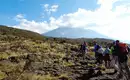 Kilimanjaro: Lemosho-Route (Northern Circuit)