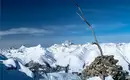 Skidurchquerung - Bündner Haute Route